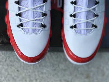 Air Jordan 9