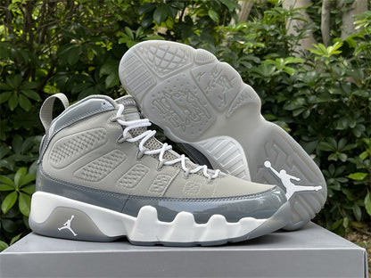 Air Jordan 9